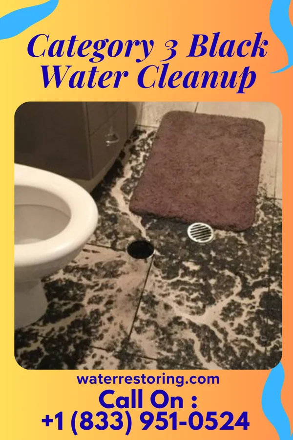 Category 3 Black Water Cleanup in Galatia, KS