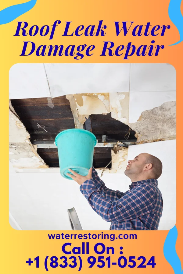 Roof Leak Water Damage Repair in Galatia, KS